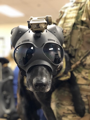 Coast Guard CEDT member equipped with protective helmet and mounted illumination setup for the explosives detection mission. (U.S. Coast Guard) Coast Guard CEDT member equipped with protective helmet and mounted illumination setup for the explosives detection mission. (U.S. Coast Guard)